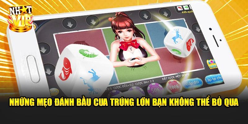 Những mẹo đánh Bầu Cua trúng lớn bạn không thể bỏ qua