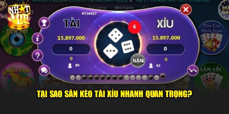 Tại Sao Săn Kèo Tài Xỉu Nhanh Quan Trọng?